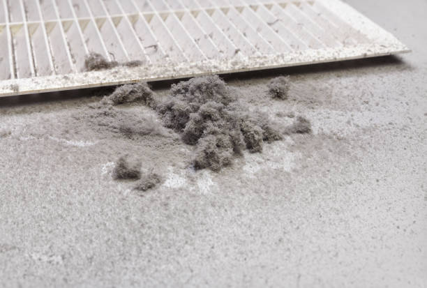 Best Affordable Duct Cleaning Services  in Galena, IN